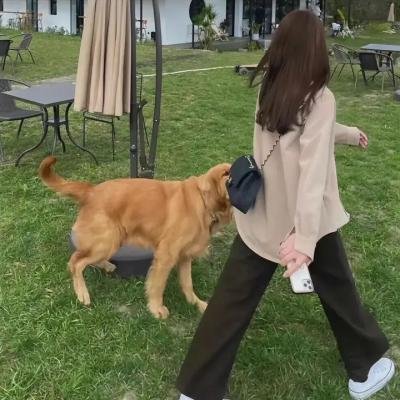 小生梦惊魂
